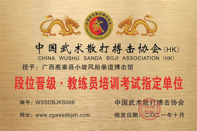 廣西鹿寨縣小旋風(fēng)跆拳道搏擊館